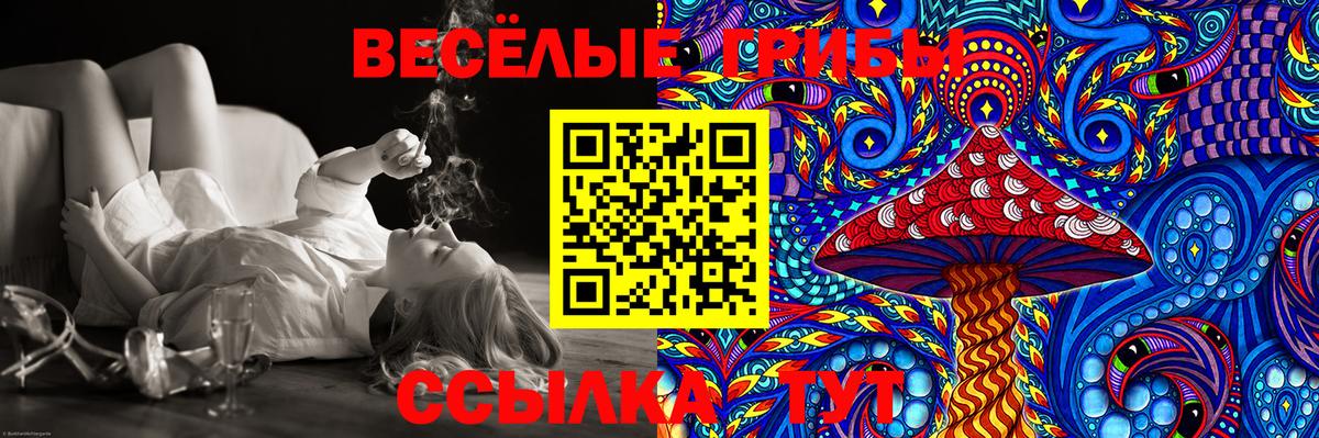 Галлюциногенные грибы Cubensis  Вход с VPN  Псилоцибиновые грибы Psilocybine cubensis  Мичуринск 